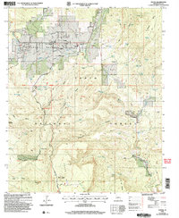 Young 2004 topographic map thumbnail