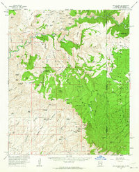 Big Lue Mts 1962 topographic map thumbnail