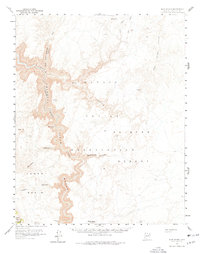 Blue Spring 1955 topographic map thumbnail