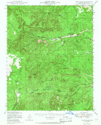 Camp Wood 1947 topographic map thumbnail