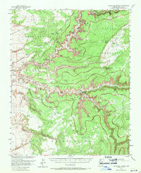 Canyon Del Muerto topographic map thumbnail