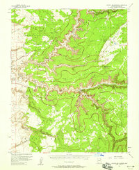 Canyon Del Muerto 1955 topographic map thumbnail