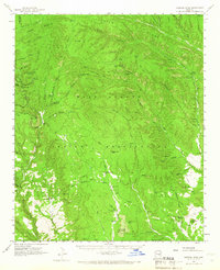 Chediski Peak 1961 topographic map thumbnail