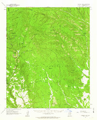 Chediski Peak 1961 topographic map thumbnail