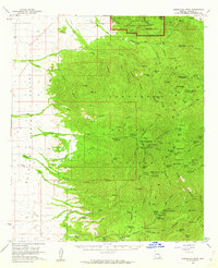 Chiricahua Peak 1958 topographic map thumbnail