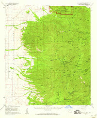 Chiricahua Peak 1958 topographic map thumbnail