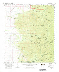 Chiricahua Peak 1958 topographic map thumbnail