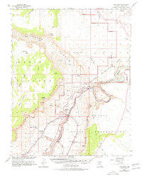 Lees Ferry 1954 topographic map thumbnail