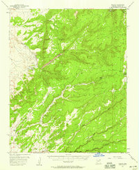 Nazlini 1955 topographic map thumbnail
