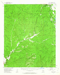 Show Low 1961 topographic map thumbnail