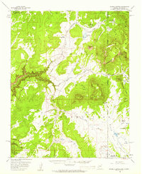 Sonsela Buttes 1955 topographic map thumbnail