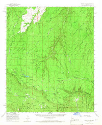Woods Canyon 1961 topographic map thumbnail