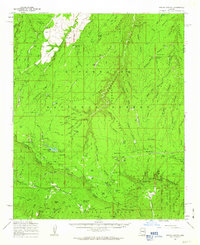 Woods Canyon 1961 topographic map thumbnail
