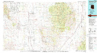 Chiricahua Peak 1994 topographic map thumbnail