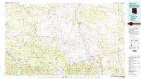 Springerville 1981 topographic map thumbnail