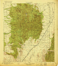 Chiricahua 1919 topographic map thumbnail
