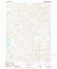 Arnold Lake 1989 topographic map preview