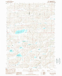 Billys Lake 1989 topographic map thumbnail