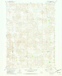 Bruner Lake 1981 topographic map thumbnail