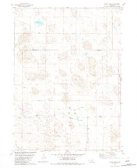 Chain Lake 1981 topographic map thumbnail