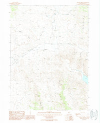 Chicken Springs 1989 topographic map thumbnail