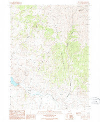 Delano Peak 1989 topographic map thumbnail