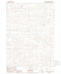 Dismal River Ranch NW 1985 topographic map thumbnail