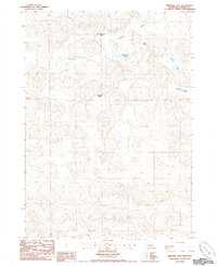 Medicine Lake 1985 topographic map thumbnail