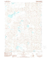 Peter Long Lake 1989 topographic map thumbnail