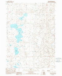 Twin Lakes 1989 topographic map thumbnail