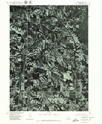 Walthill 1977 topographic map thumbnail