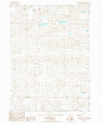 White Willow Lake 1987 topographic map thumbnail