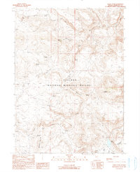 Alkali Peak 1990 topographic map thumbnail