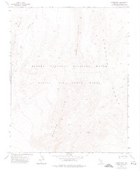 Aysees Peak 1973 topographic map thumbnail