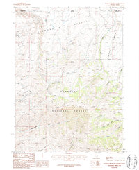 Bearpaw Mountain 1986 topographic map thumbnail