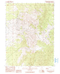 Big Bald Mountain 1990 topographic map thumbnail