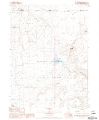 Big Spring Butte 1990 topographic map thumbnail