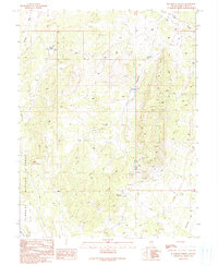 Blackjack Springs 1990 topographic map thumbnail