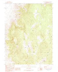 Blue Eagle Mountain 1990 topographic map thumbnail
