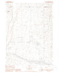 Bog Hot Springs 1990 topographic map thumbnail