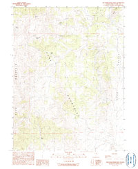 Buck Mountain East 1990 topographic map thumbnail