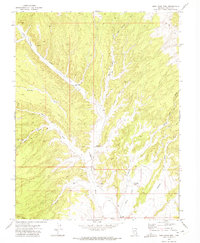 Buck Wash Well 1972 topographic map thumbnail