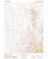 Buena Vista Hills South 1990 topographic map thumbnail