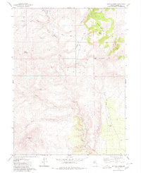 Buffalo Creek 1980 topographic map thumbnail