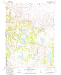 Burnt Lake 1980 topographic map thumbnail