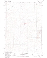 Button Lake 1980 topographic map thumbnail