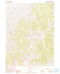 Byers Canyon 1990 topographic map thumbnail