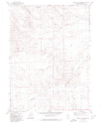 Chester Lyons Spring 1979 topographic map thumbnail