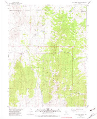 Chin Creek Spring 1982 topographic map thumbnail