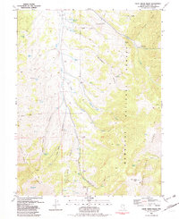 Cleve Creek Baldy 1981 topographic map thumbnail
